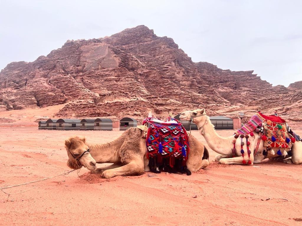 Wadi Rum Sky Tours & Camp Екстериор снимка